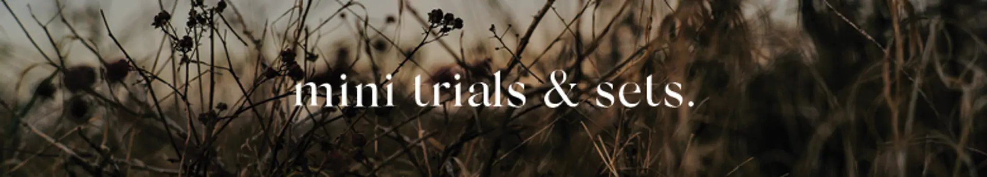category banner