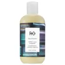 R+Co Television Perfect Hair Shampoo