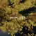 Goldfield & Banks VELVET SPLENDOUR Perfume 100ml