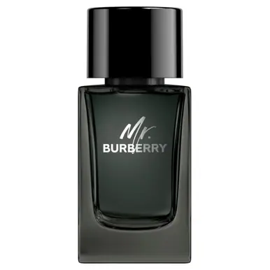 Burberry Mr. Burberry Eau de Parfum 100ml