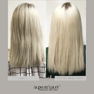 Apotecari Mane Event 60 Day Bottle | Intensive Hair Growth, Condition & Thickness