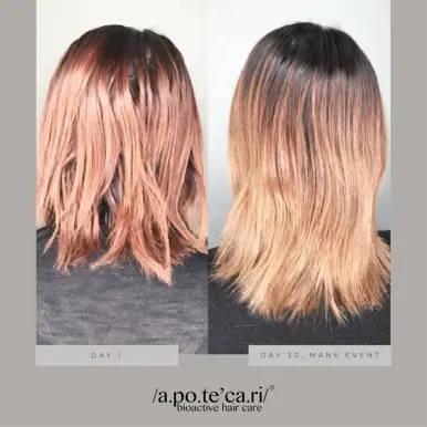 Apotecari Mane Event 90 Day Kit | Intensive Hair Growth, Condition & Thickness