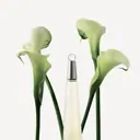Issey Miyake L'Eau d'Issey EDT Spray 50ml