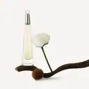 Issey Miyake L'Eau d'Issey EDT Spray 50ml