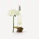 Issey Miyake L'Eau d'Issey EDT Spray 50ml