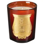 Trudon Cire Candle 270g