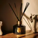 Trudon Cyrnos Reed Diffuser 350ml