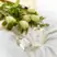 Jo Loves White Rose & Lemon Leaves A Fragrance 100ml