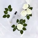 Jo Loves White Rose & Lemon Leaves A Fragrance Paintbrush