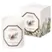 Carrière Frères Cypress  Candle 185g