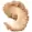 Warm Beige