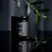 WelleCo The Immune Elixir 60 Capsules