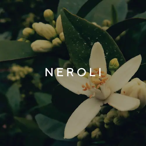BDK Villa Neroli 100ml