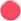 Cute As A Button - Coral pink
