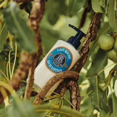 L'Occitane Shea Butter Body Lotion 250ml
