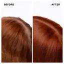 IGK Permanent Color Kit