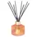 Trudon Tuileries Diffuser