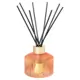 Trudon Tuileries Diffuser