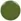 Willow in the Wind - Vibrant green with yellow undertones