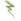 Ghosted Green