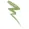 NYX Professional Makeup Vivid Brights Ghosted Green