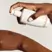 Sulwhasoo First Care Activating Serum 60ML