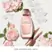 Narciso Rodriguez All of Me EDP 50ml