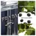 Prada L'Homme EDT 50ml