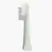 Gem Electric Toothbrush Replacement Heads