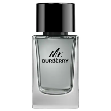 Burberry Mr. Burberry Eau de Toilette 100ml