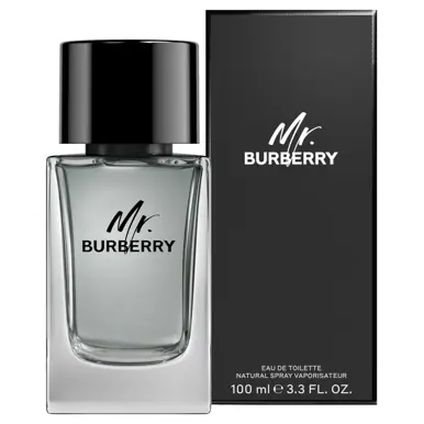 Burberry Mr. Burberry Eau de Toilette 100ml