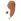 Coconut 355
