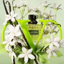 Valentino Born In Roma Donna Green EDP 30ml