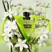 Valentino Born In Roma Donna Green EDP 30ml