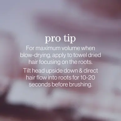 Pureology Style + Protect On The Rise Root Lifting Mousse 294g