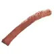 Youngblood Lip Pencil Malt 1.1g