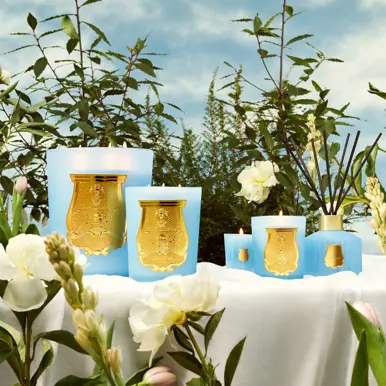 Trudon Versailles 350ml diffuser 