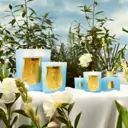 Trudon Versaille Intermezzo 800g candle