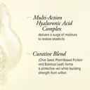 Oribe Hair Care Hair Alchemy Resilience Shampoo