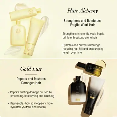 Oribe Hair Care Hair Alchemy Resilience Shampoo