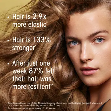 Oribe Hair Care Hair Alchemy Resilience Conditioner