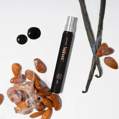 Commodity Velvet+ Bold 10ml