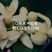 BDK Pas Ce Soir EDP 100ml