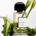 BDK Pas Ce Soir EDP 100ml