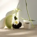 Maison Balzac Le Jardin Candle Large