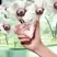 Prada Paradoxe Virtual Flower EDP 50ml
