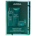 AVEDA Botanical Repair Rich Value Kit