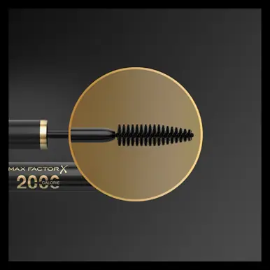 Max Factor 2000 Calorie Dramatic Volume Mascara
