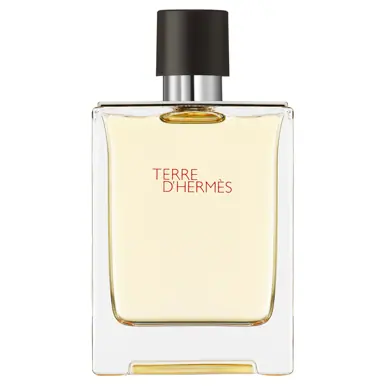 HERMÈS Terre d'Hermès, Eau de Toilette, 100ml