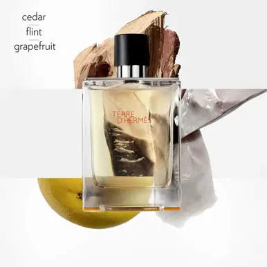 HERMÈS Terre d'Hermès, Eau de Toilette, 100ml